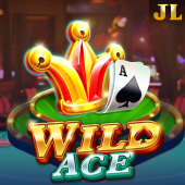 Wild Ace at 777 Means
